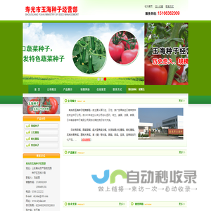 寿光市玉海种子经营部-番茄苗种植基地,辣椒苗供应商,茄子苗基地